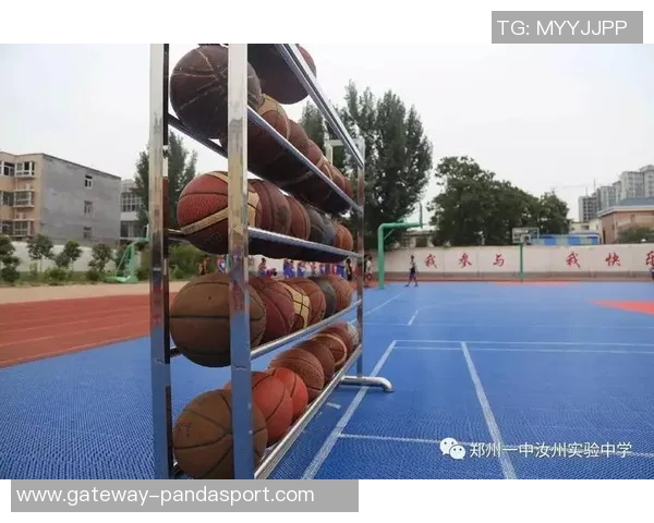 花样篮球的魅力与技巧探索让我们一起领略这项运动的无限可能与精彩瞬间